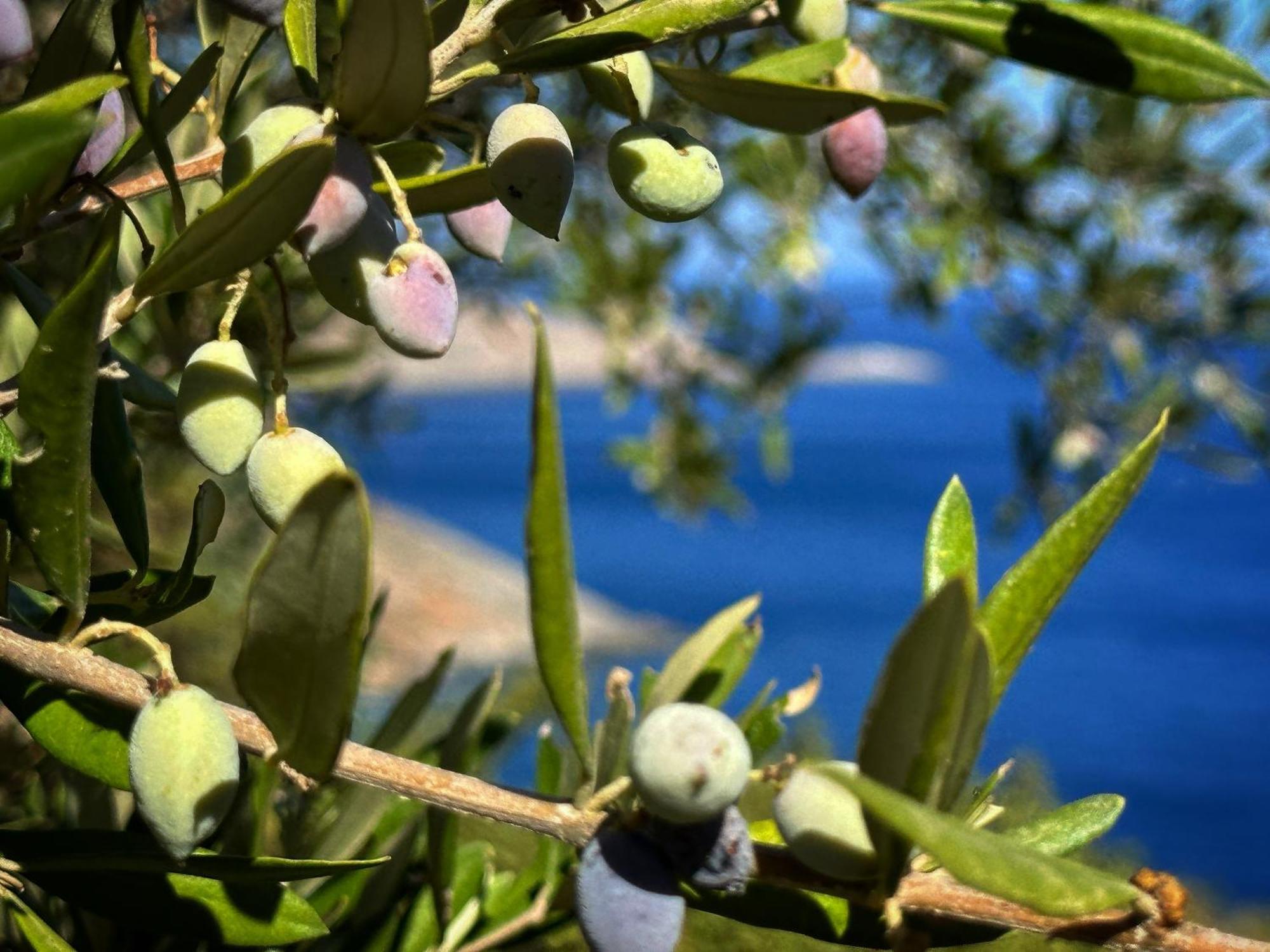 Maison Meltem Agia Pelagia  Extérieur photo